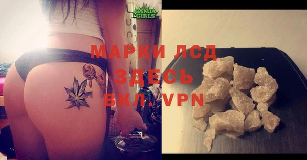 крисы Елизово