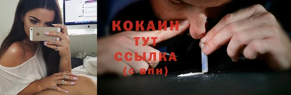 крисы Елизово