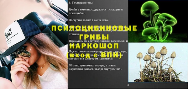 крисы Елизово