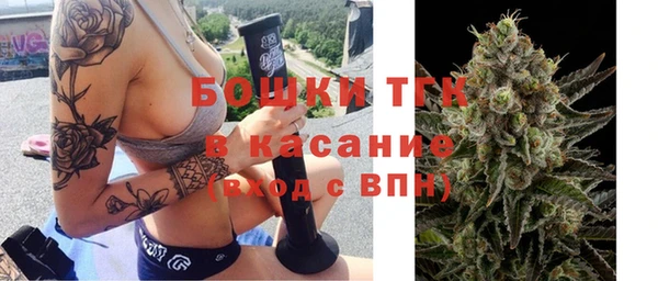 эйфоретик Елабуга