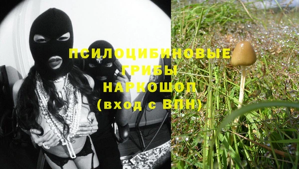 крисы Елизово