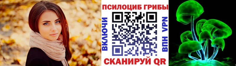 Купить где  Любим  Псилоцибиновые грибы Psilocybine cubensis 